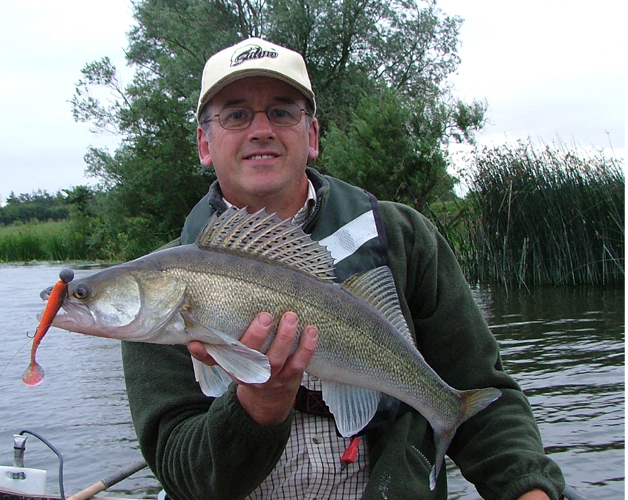 Jigged zander