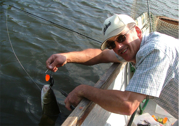 Chub on a spinnerbait