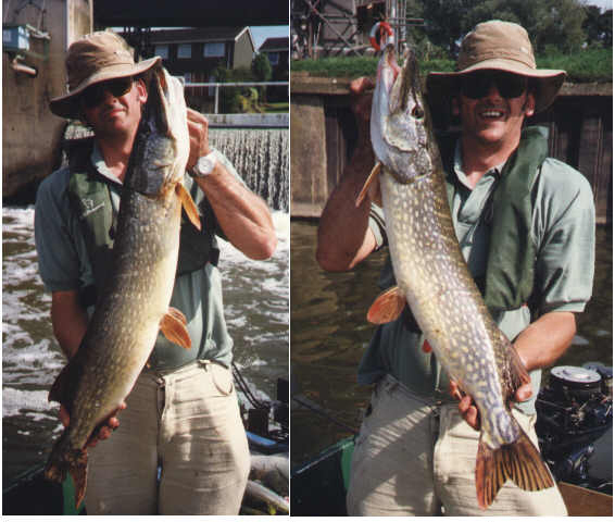 Weir pool pike