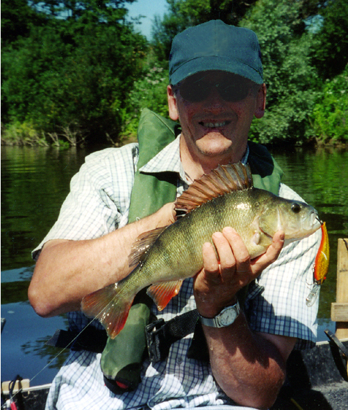 Severn Perch