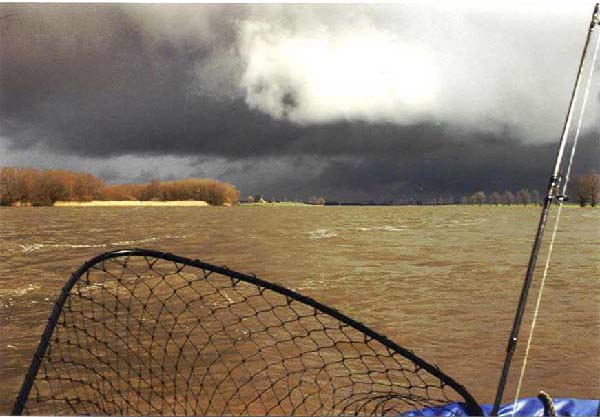Storm rising