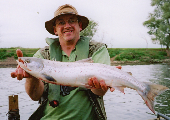 Severn salmon