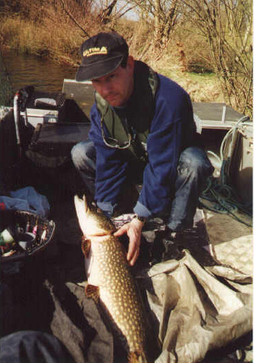 17lb pike