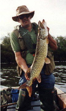 Severn double