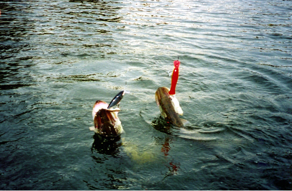 two pike