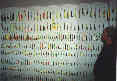 One of Piet Driessen's bedroom walls! - click for full-size picture