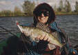 Trolled zander - click for full-size picture