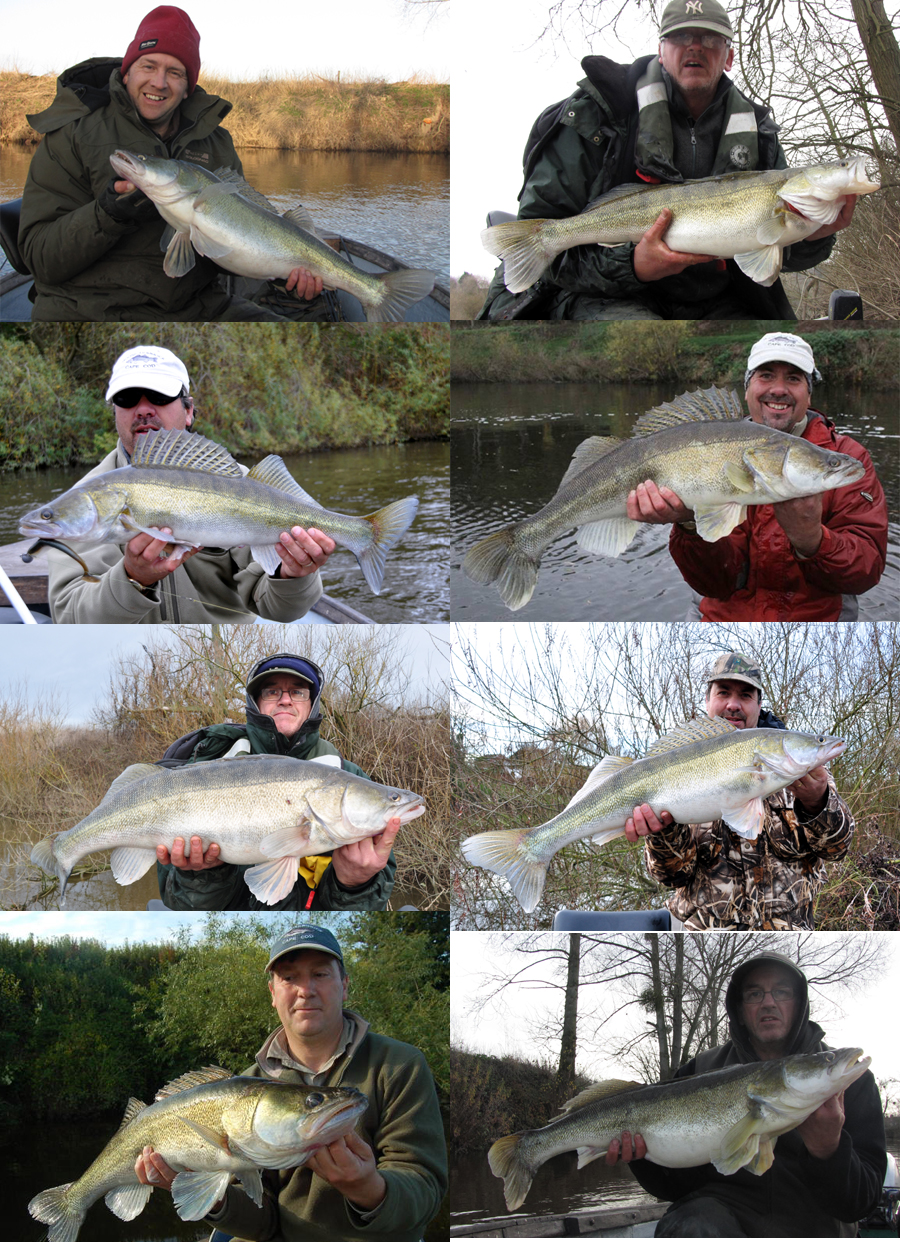 2011 zander