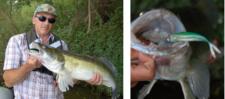 Near double zander