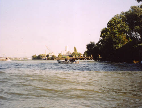 Jigging at Dordrecht