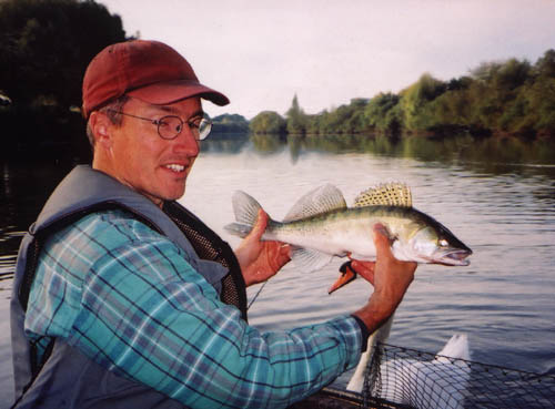 Tim Kelly with a Severn zander