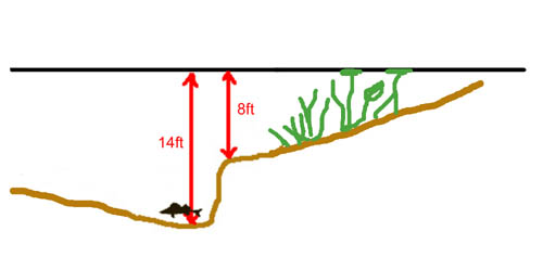 Swim profile