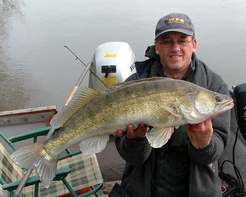 WInter zander 13lb